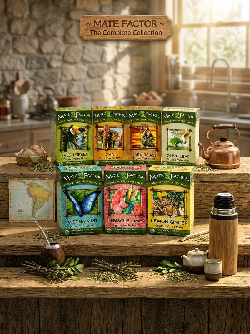 Maté Factor — Fresh Brazilian Yerba Maté