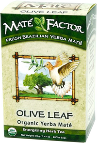 Olive Leaf — Økologisk yerba maté